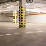 Belassi بايموتْسْ